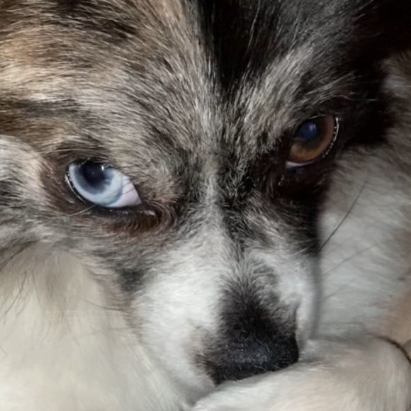 Meet your Posher - Picture 3 of 8